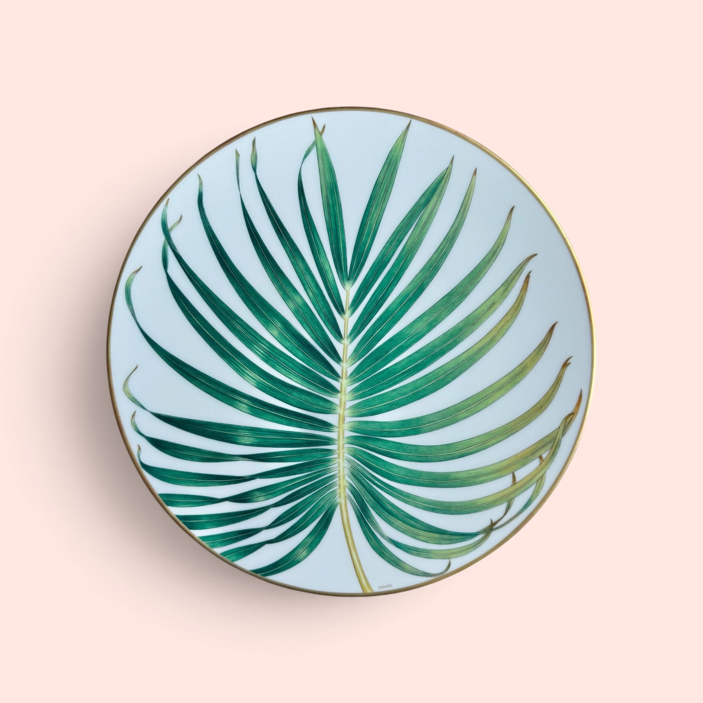 Hermès Passifolia Dinner Plate Set of 2
